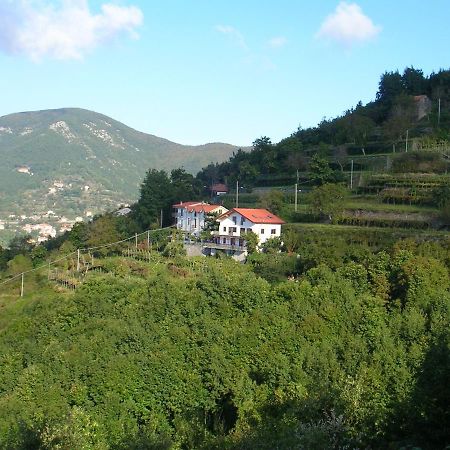 Villa Agriturismo Il Castagno à Agerola Extérieur photo