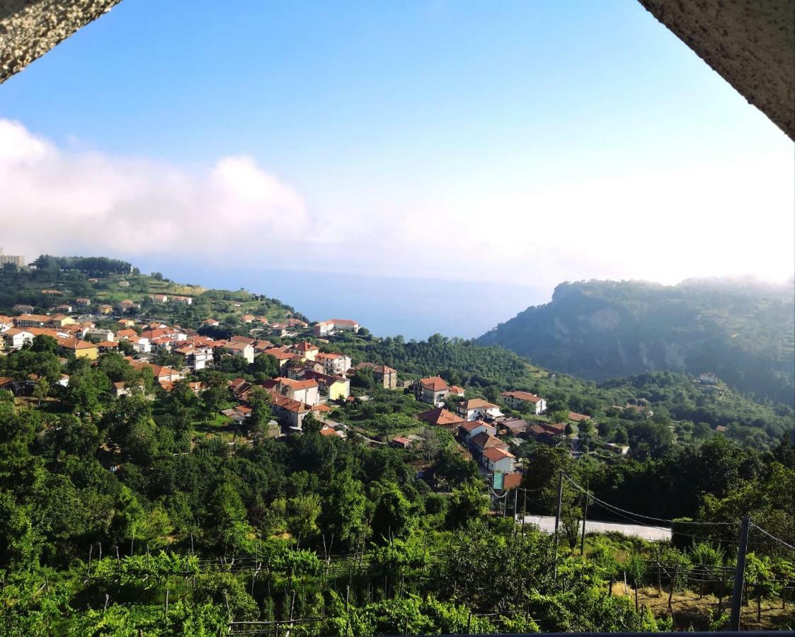 Villa Agriturismo Il Castagno à Agerola Extérieur photo